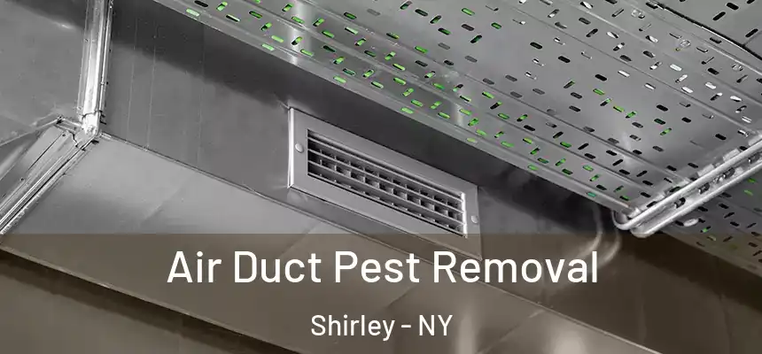  Air Duct Pest Removal Shirley - NY