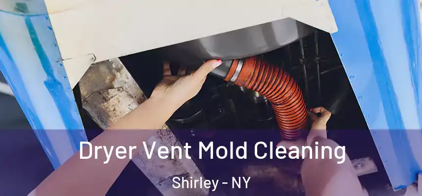  Dryer Vent Mold Cleaning Shirley - NY