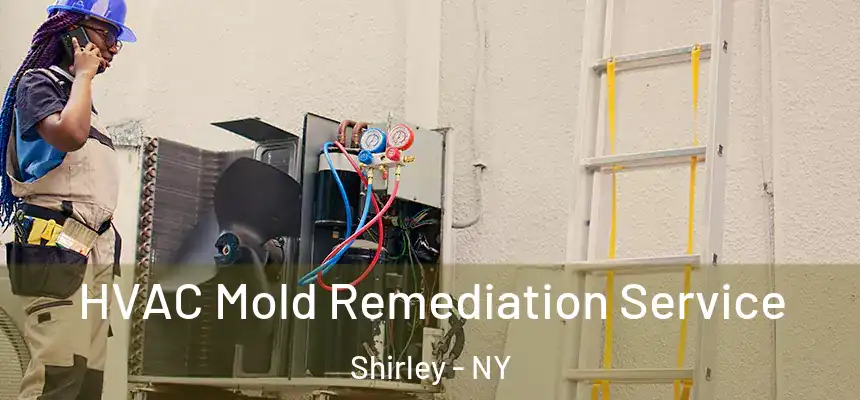  HVAC Mold Remediation Service Shirley - NY