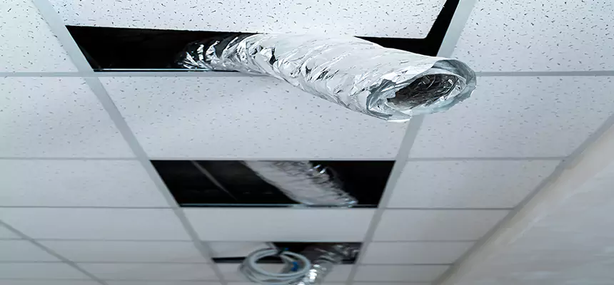 Affordable HVAC Sanitizing After Pest Removal in Shirley