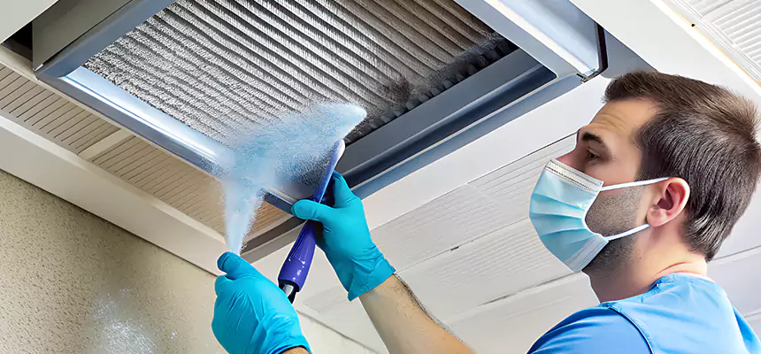 Proactive Dryer Vent & Auxiliary Duct Pollen Cleanup in Shirley, NY