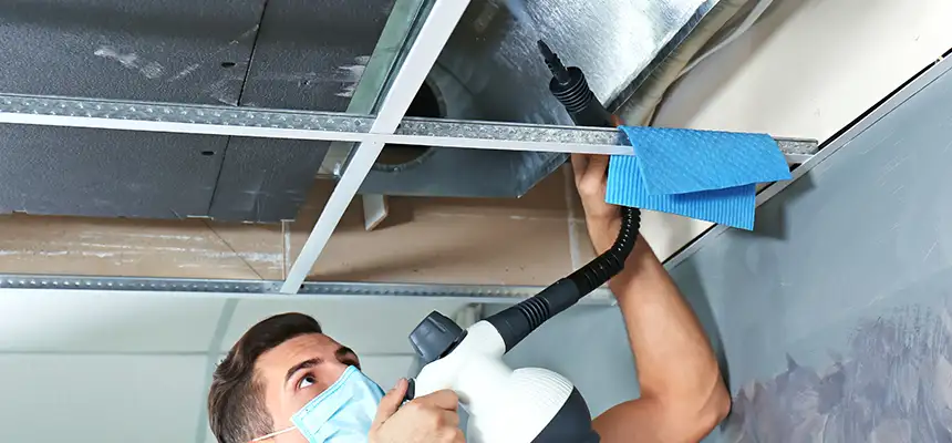 Our Air Duct Rodent Removal Services in Shirley, NY