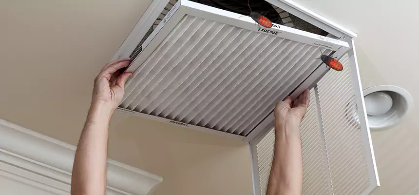 Our Insect Removal from Air Ducts Services in Shirley, NY