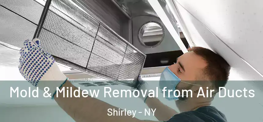  Mold & Mildew Removal from Air Ducts Shirley - NY