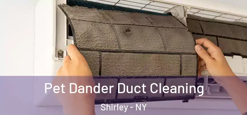  Pet Dander Duct Cleaning Shirley - NY