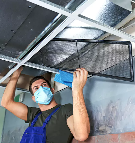 About Air Duct Bacteria Removal in Shirley