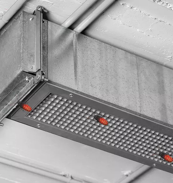 Affordable Insect Removal from Air Ducts in Shirley, NY