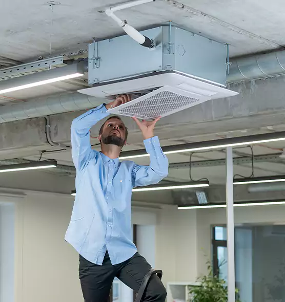 Advanced Rodent Droppings In Vents in Shirley, NY