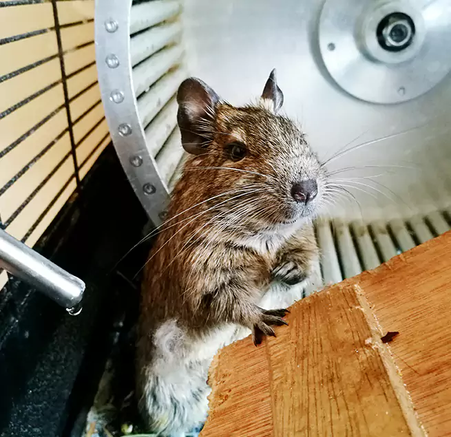 Why Homeowners & Businesses Trust Us Shirley, NY