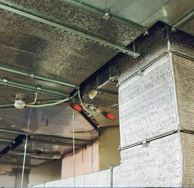 Why Homeowners & Businesses Trust Us Shirley, NY?