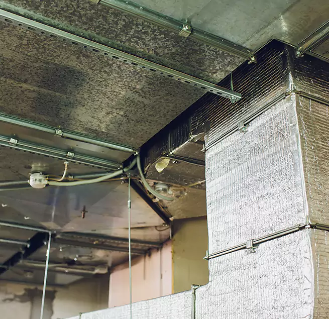 Why Homeowners & Businesses Trust Us in Shirley, NY?